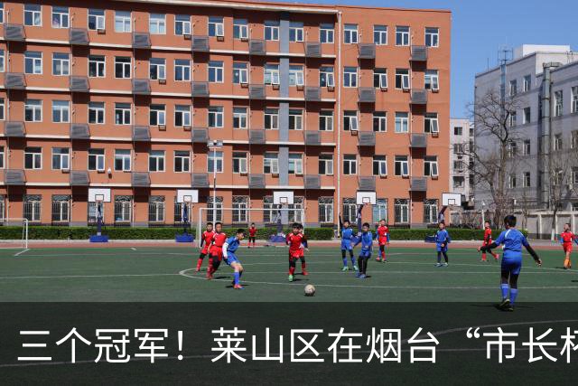三个冠军！莱山区在烟台“市长杯”校园足球联赛斩获佳绩